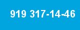 919 317-14-46